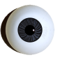 Preview: artaugen