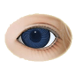 Preview: artaugen