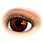Preview: Doll-eyes-standart-brown.