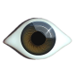Preview: puppenaugen