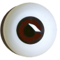 Preview: Reborn iris rim eye