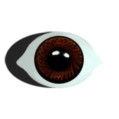 paperweight eyes