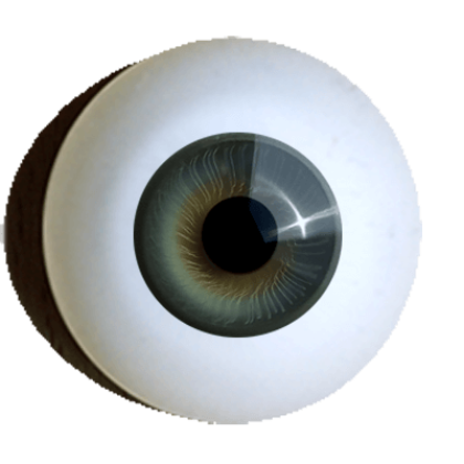 irismuskelaugen