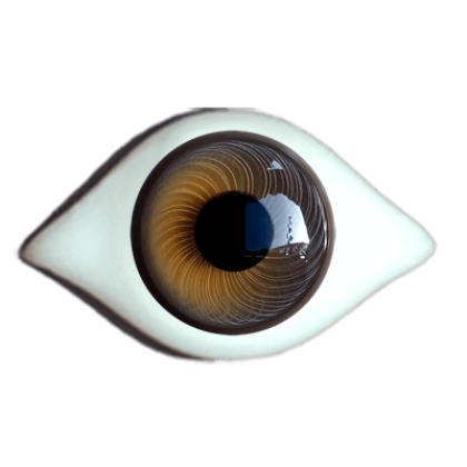 Reborn  iris rim eyes
