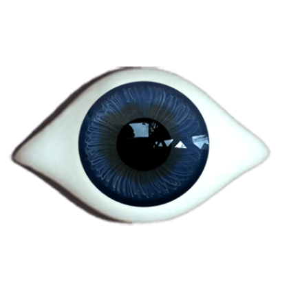 Reborn iris rim eyes