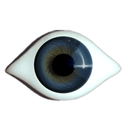 Reborn  irismuskelaugen