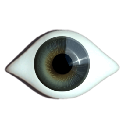 Irismuskelaugen Superior gezwickt graugrün