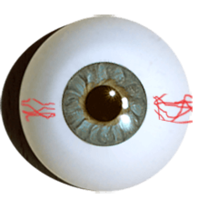Designer-eyes-superior-grey-green-with-veins-16mm-small-iris.
