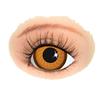 Preview: puppenaugen