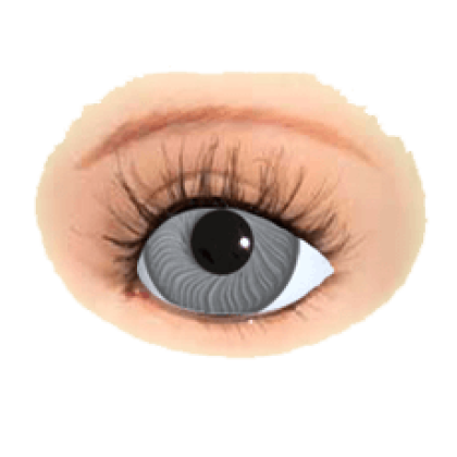 Preview: puppenaugen