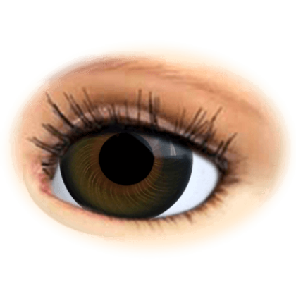 Preview: Rebornirismuskelauge