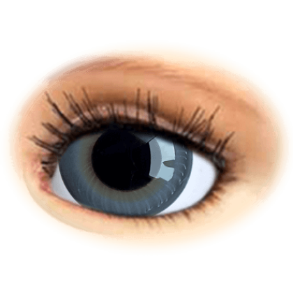 Preview: reborn irismuskelaugen