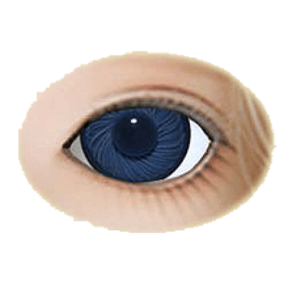 artaugen