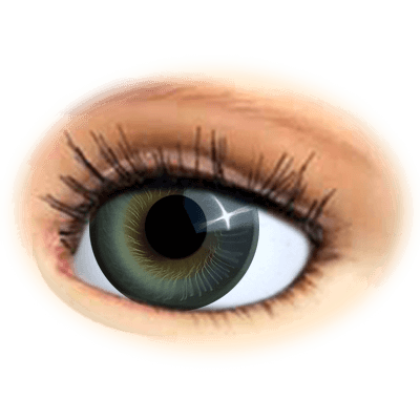 irismuskelaugen