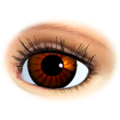 Doll-eyes-standart-brown.