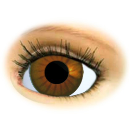 doll eyes