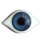 Antikaugen Superior gezwickt mittelblau