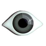 antique eyes