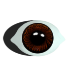 Paperweight-bru-eyes-superior-tweakedbrown.
