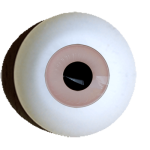 Artaugen Superior rund rose