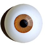 Artaugen Standard rund bernstein