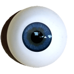 Iris-muscle-eyes-superior-dark-blue.