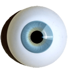iris rim eyes
