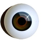 Irismuskelaugen Standard rund topas