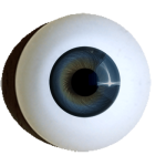 iris rim eyes