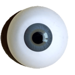 iris rim eyes