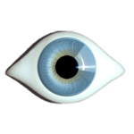 Irismuskelaugen Superior gezwickt eisblau