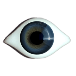 Reborn  irismuskelaugen