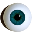 Reborndesigneraugen Standard rund grünblau.