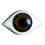 Designeraugen Superior gezwickt hasel.