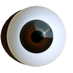 Augen zum Basteln rund braun.