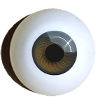 doll eyes