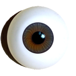 doll eyes