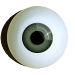 Augen zum Basteln rund graugrün.