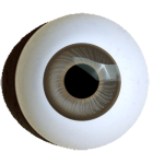 Reborn Augen zum Basteln rund beige.