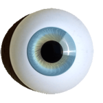 Reborn Augen zum Basteln rund eisblau.