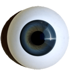 Reborn Augen zum Basteln rund grau.