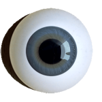 reborn irismuskelaugen