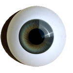 Reborn Irismuskelaugen Standard rund graugrün.