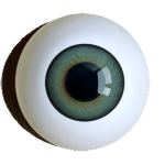 reborn irismuskelaugen