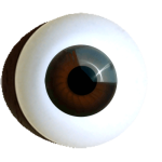 Reborn-doll-eyes-superior-brown.