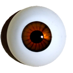 Reborn doll eyes