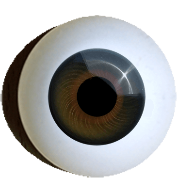 Reborn Irismuskel topas
